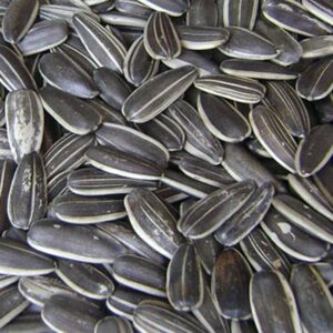 Dakota Çekirdek Tuzsuz